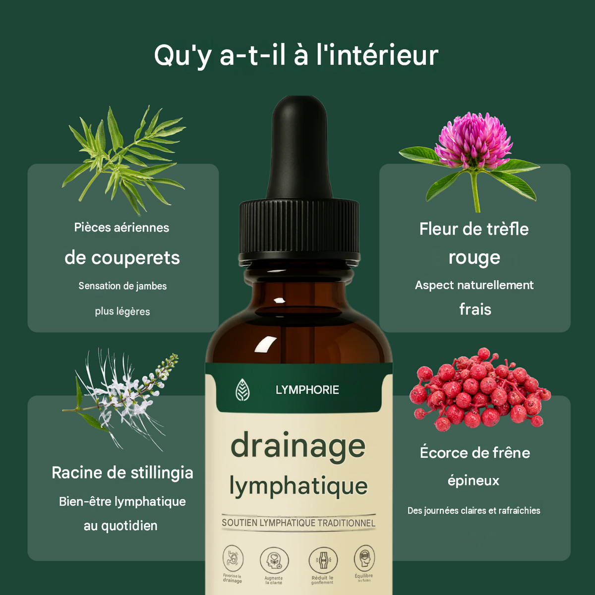 Lymphoria® Gouttes de drainage lymphatique